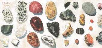 Pebbles on the Beach foldout